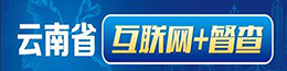 云南省互联网+督查