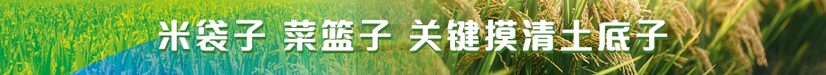 米袋子 菜篮子 关键摸清土底子